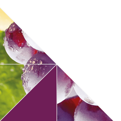 Triangles small left